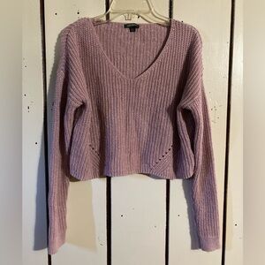 Wild Fable Longsleeve Crop Top